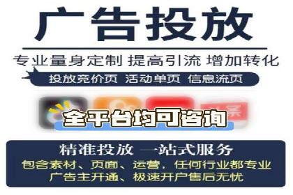 SEM公司案例分析：搜索引擎优化策略与执行